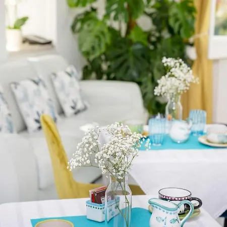 Dalu ゲストハウス