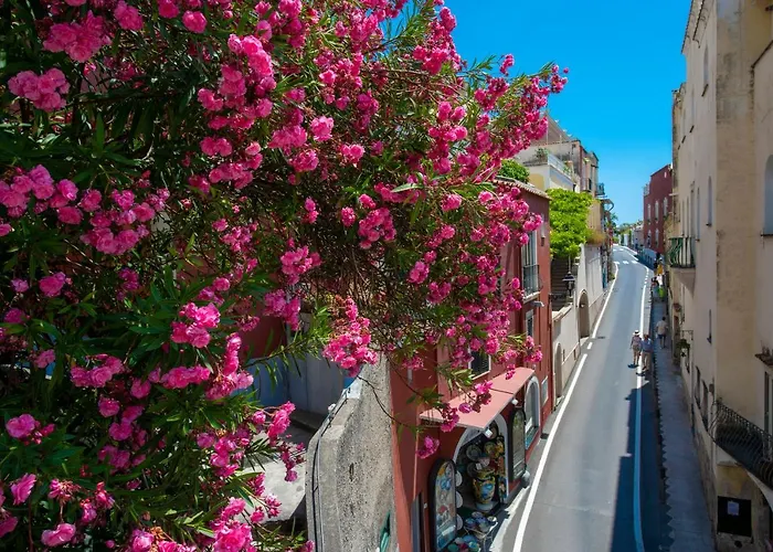 Dalu בית הארחה פוזיטנו